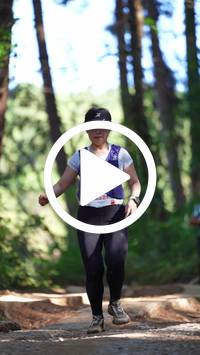 BIB:  <button type="button" onclick="openModal(26787867)" class="btn btn-primary btn-sm float-right" data-toggle="modal" data-target=".modal-high-quality">
                <i class="fa fa-download"></i> Download
                </button>